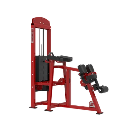 Dynamic Kneeling Leg Curl